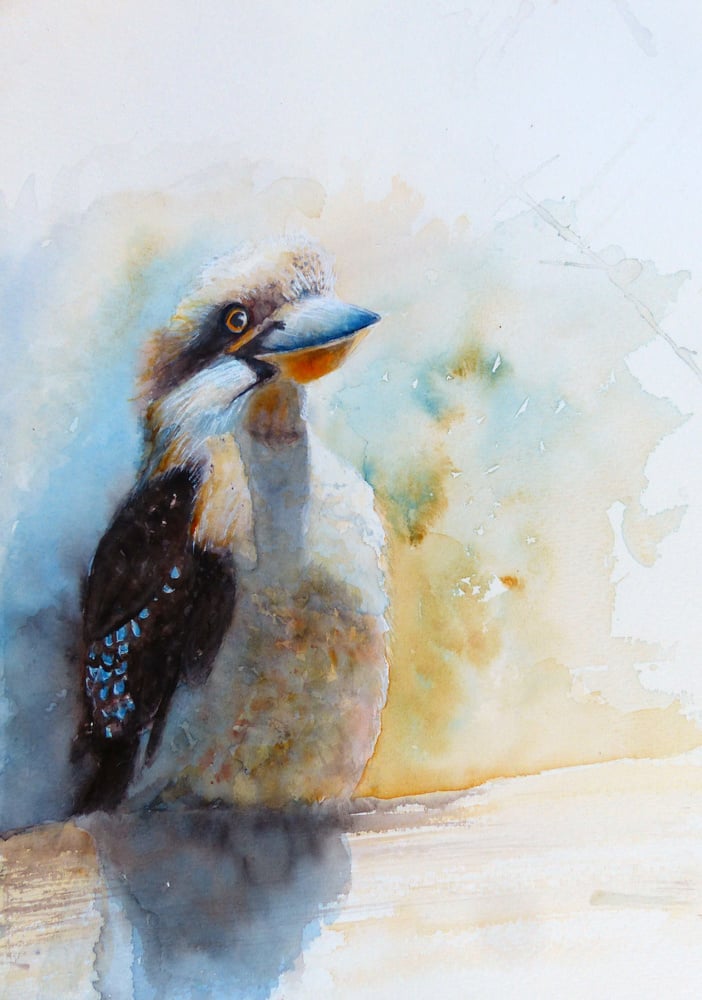 Kookaburra King