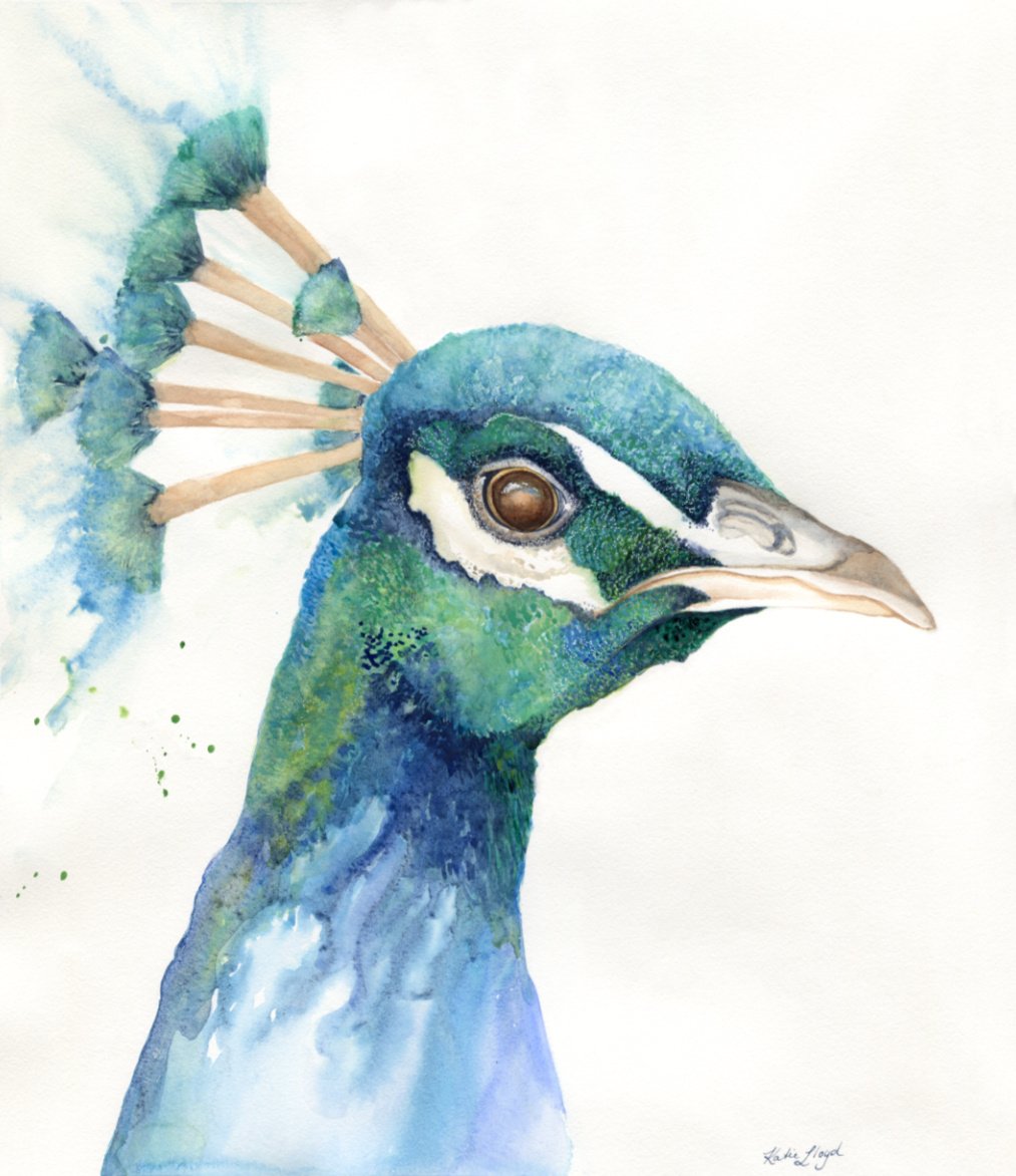 Priscilla Peacock 