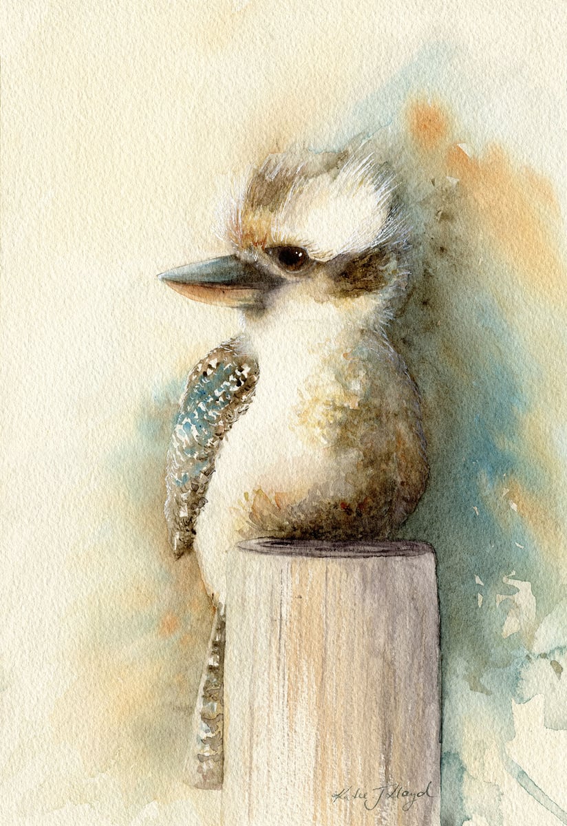 Little Kookaburra 